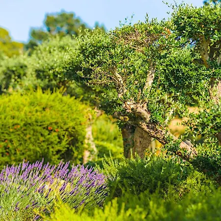 Minvielle - Les Oliviers 3*